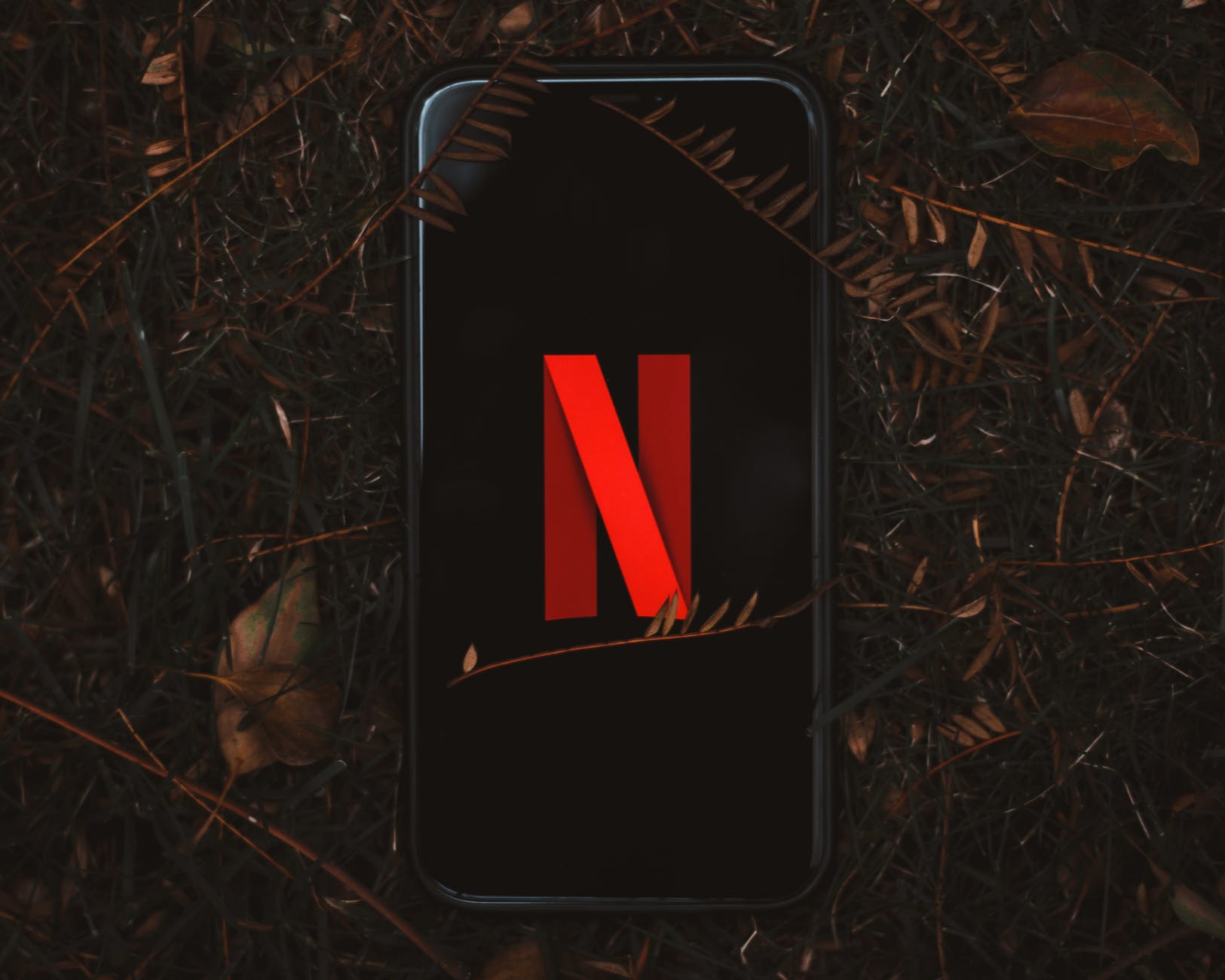 netflix logo on smartphone screen