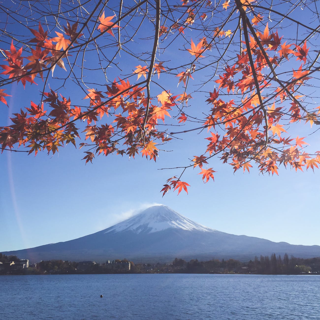 2023 年日本賞楓 11 月 2 日第三波預測出爐,楓紅的浪漫與藝術 7 2023 年日本賞楓首波預測出爐,楓紅的浪漫與藝術