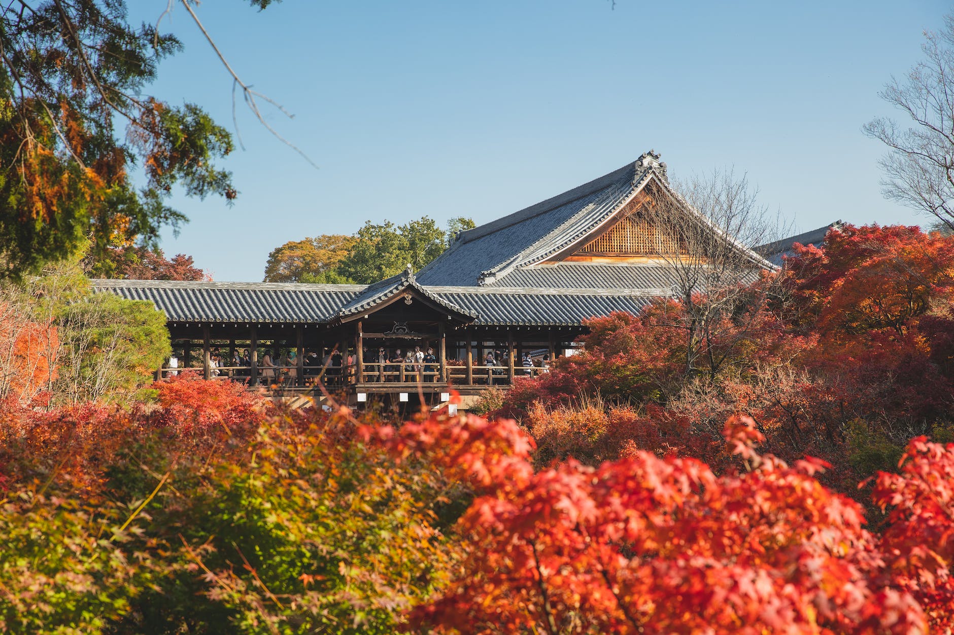 2023 年日本賞楓 11 月 2 日第三波預測出爐,楓紅的浪漫與藝術 10 traditional asian temple near trees in autumn
