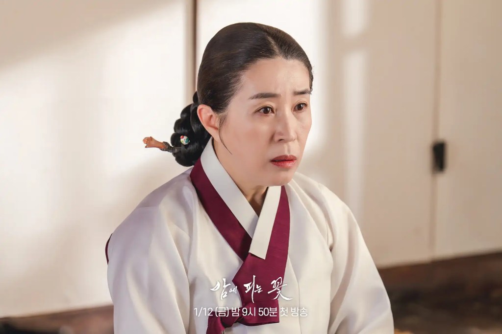 韓劇《夜晚盛開的花》分集劇情評論,白天守寡夜晚成為女俠 8 412418468 888938162588096 4228713098566461930 n