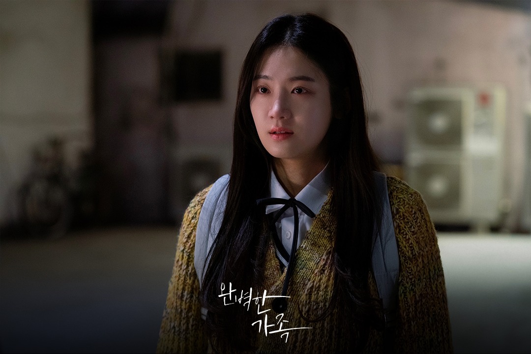 韓劇《完美的家族》劇情、角色與演員陣容介紹 13 453911380 1023257155818291 1680107021174465396 n