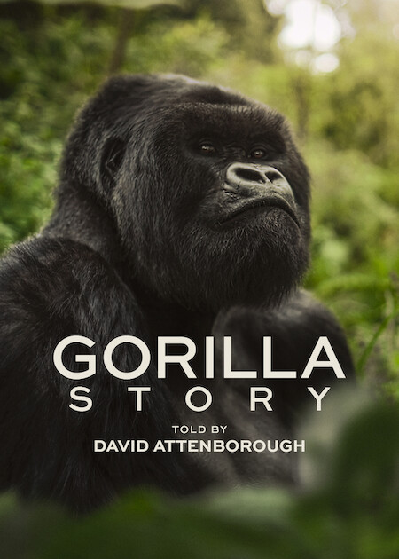 gorilla poster